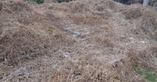 제주특별자치도 제주시 영평동 381-2 과수원 경매 물건 이미지