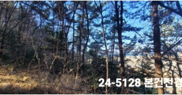 부산광역시 강서구 성북동 산265 임야 경매 물건 이미지