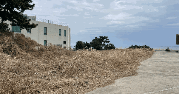 제주특별자치도 제주시 구좌읍 행원리 85 전 경매 물건 이미지