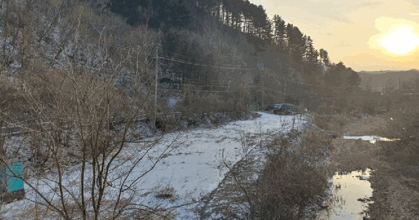 강원특별자치도 춘천시 남산면 산수리 293-5 답 경매 물건 이미지