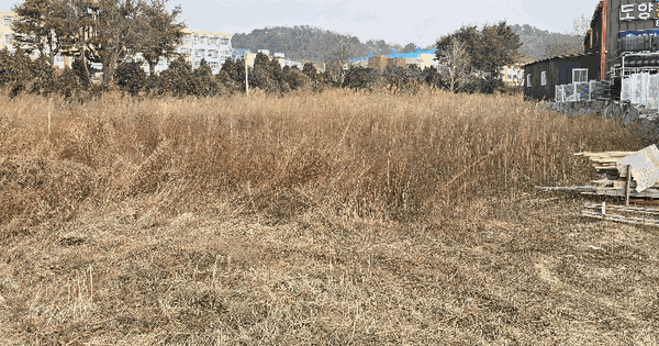 전남광주통합특별시 고흥군 도양읍 용정리 1322-2 답 경매 물건 이미지
