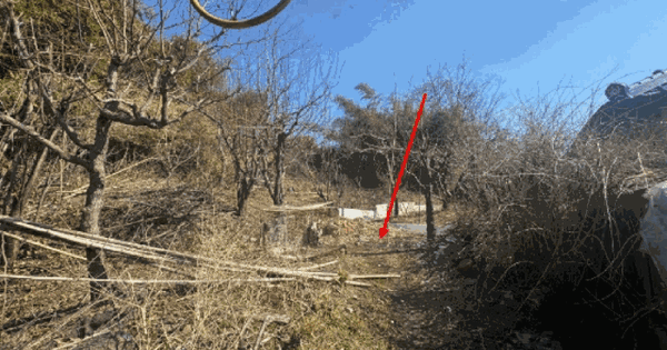 세종특별자치시 조치원읍 번암리 215-1 대지 경매 물건 이미지