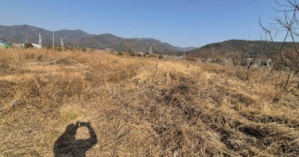 경상남도 고성군 하이면 봉현리 153-2 전 경매 물건 이미지
