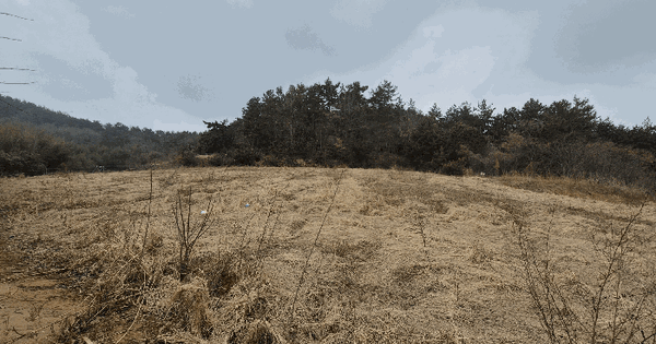 전남광주통합특별시 무안군 현경면 오류리 133-20 전 경매 물건 이미지