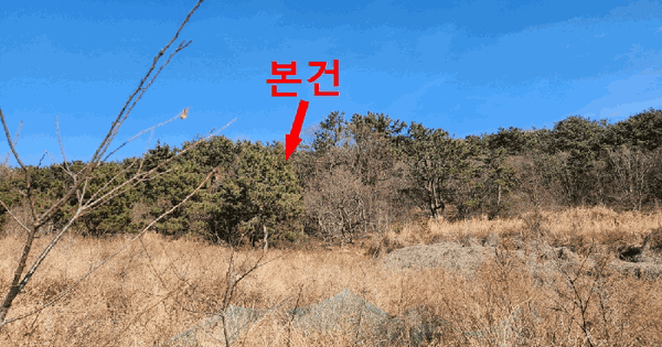 인천광역시 영종구 을왕동 732-3 임야 경매 물건 이미지