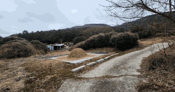 전라남도 완도군 군외면 신학리 135-8 전 경매 물건 이미지