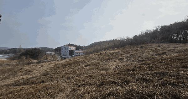 충청남도 당진시 석문면 장고항리 799-9 임야 경매 물건 이미지