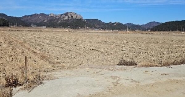전남광주통합특별시 진도군 지산면 심동리 OOOOO 답 경매 물건 이미지