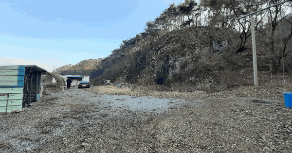충청남도 논산시 벌곡면 덕곡리 458-5 임야 경매 물건 이미지