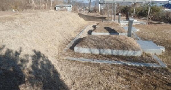 충청남도 논산시 연무읍 안심리 146-2 전 경매 물건 이미지