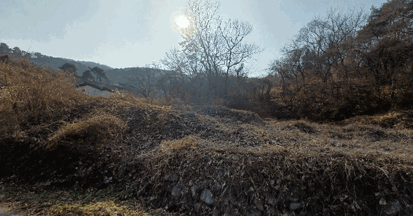 경상남도 남해군 설천면 문의리 산232-1 임야 경매 물건 이미지