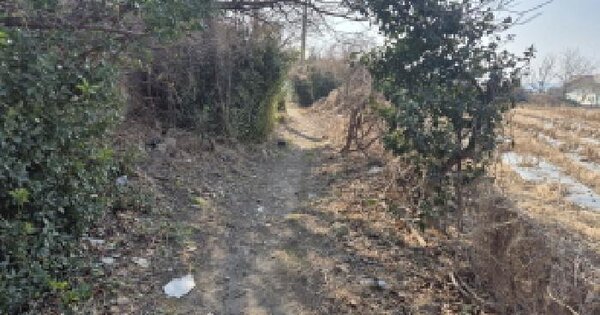 울산광역시 북구 중산동 645-2 묘지 경매 물건 이미지
