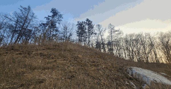 충청북도 충주시 산척면 영덕리 산132-19 임야 경매 물건 이미지