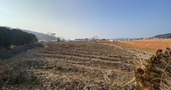 충청남도 태안군 안면읍 승언리 321-10 잡종지 경매 물건 이미지