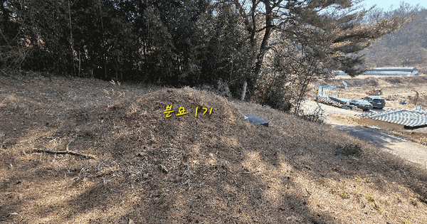 경상남도 산청군 단성면 창촌리 산87 임야 경매 물건 이미지