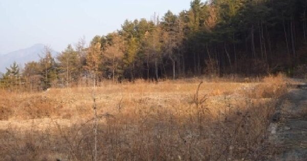 경상남도 창녕군 부곡면 온정리 177-4 도로 경매 물건 이미지