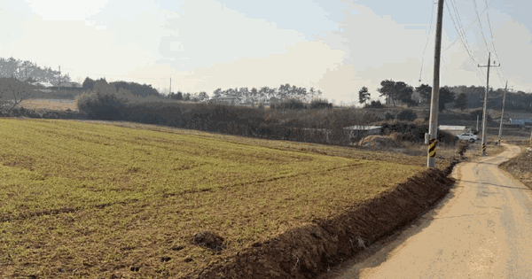 전남광주통합특별시 무안군 청계면 서호리 573-1 전 경매 물건 이미지