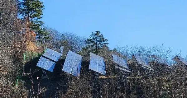 충청북도 괴산군 괴산읍 능촌리 332-1 잡종지 경매 물건 이미지