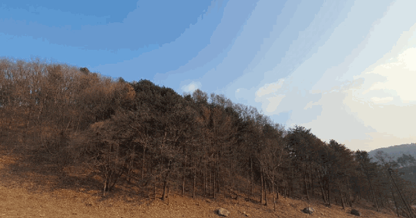 강원특별자치도 춘천시 남면 후동리 산102-1 임야 경매 물건 이미지