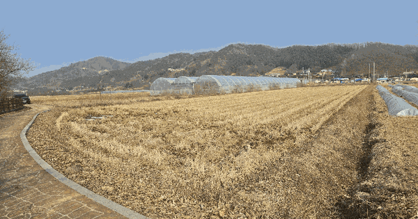 강원특별자치도 철원군 갈말읍 상사리 1334 답 경매 물건 이미지