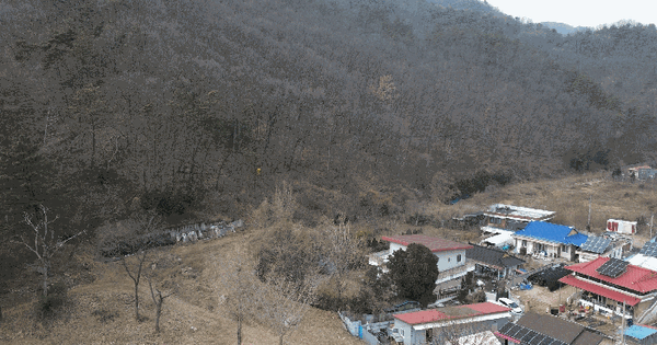 전북특별자치도 전주시 완산구 색장동 797-1 임야 경매 물건 이미지