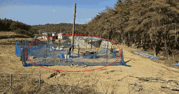 경상북도 경주시 천북면 동산리 221-2 임야 경매 물건 이미지