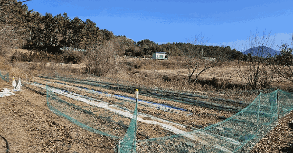 대구광역시 달성군 구지면 화산리 4 전 경매 물건 이미지