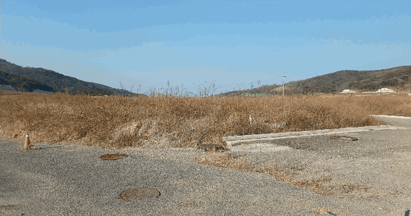 경상북도 경주시 천군동 1271 답 경매 물건 이미지