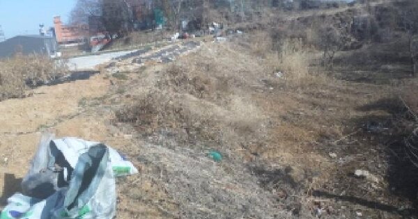 전북특별자치도 전주시 덕진구 호성동2가 589 전 경매 물건 이미지