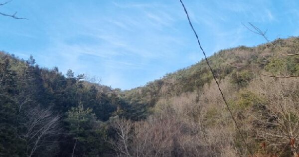 전라남도 순천시 주암면 운룡리 산261-1 임야 경매 물건 이미지