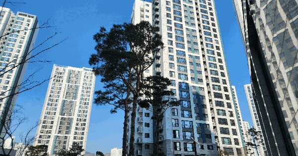 경상남도 창원시 마산합포구 교방동 535 창원푸르지오더플래티넘 201동 12층 1202호 아파트 경매 물건 이미지