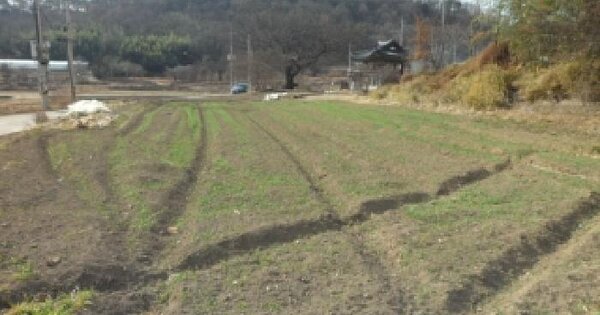대구광역시 달성군 유가읍 가태리 523 답 경매 물건 이미지