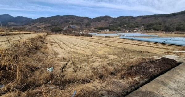 경상남도 하동군 적량면 우계리 131-12 답 경매 물건 이미지