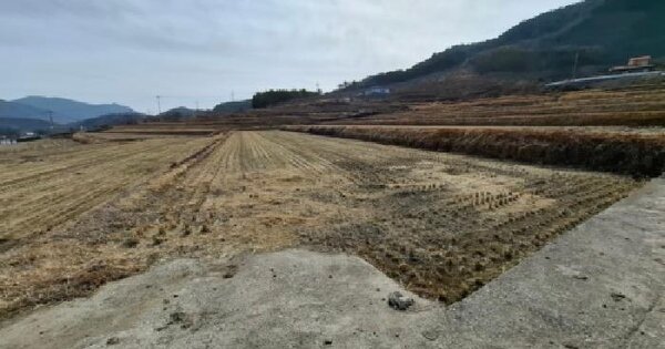 경상남도 하동군 적량면 관리 436 답 경매 물건 이미지