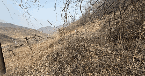 충청북도 충주시 직동 23 전 경매 물건 이미지