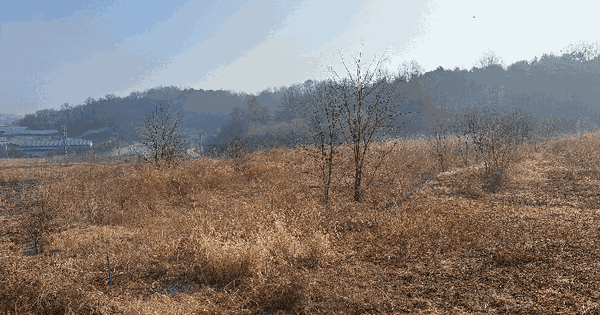 충청북도 청주시 서원구 남이면 가마리 328-3 답 경매 물건 이미지