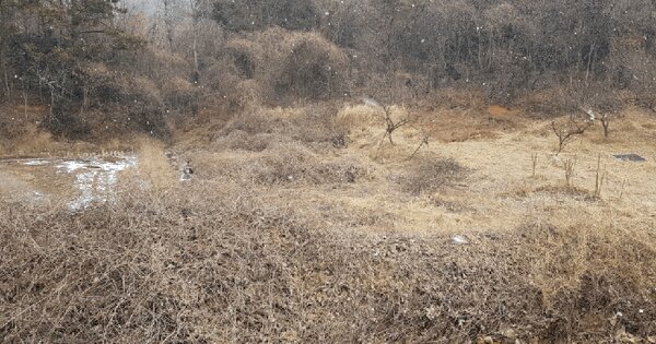 전남광주통합특별시 함평군 손불면 학산리 474 전 경매 물건 이미지