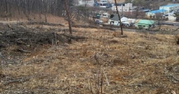 경기도 고양시 덕양구 대자동 산40 임야 경매 물건 이미지