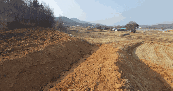 충청남도 홍성군 결성면 무량리 219 전 경매 물건 이미지