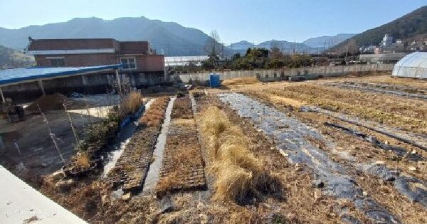 경상남도 거제시 연초면 연사리 812-3 답 경매 물건 이미지