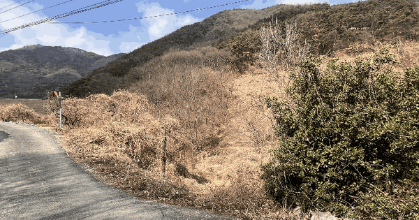 경상남도 밀양시 무안면 화봉리 1442 답 경매 물건 이미지