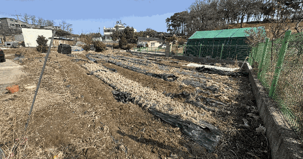 경기도 파주시 상지석동 682-45 대지 경매 물건 이미지