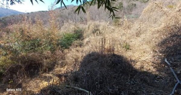 경상남도 거제시 일운면 소동리 778-1 답 경매 물건 이미지