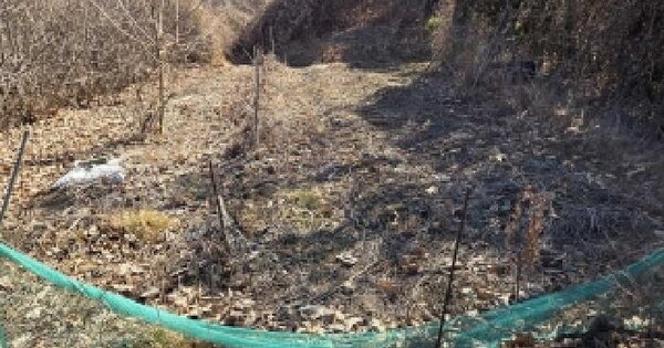 충청남도 아산시 인주면 공세리 20 전 경매 물건 이미지
