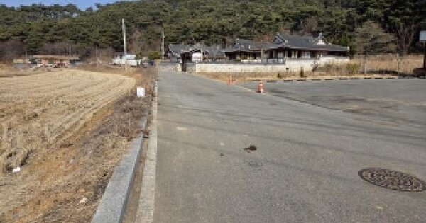 충청남도 당진시 수청동 94-3 답 경매 물건 이미지