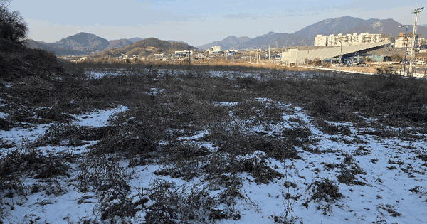 충청북도 음성군 음성읍 신천리 367-1 과수원 경매 물건 이미지
