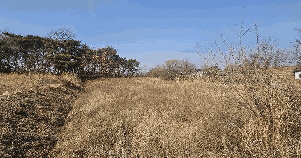 충청남도 서산시 해미면 반양리 201 전 경매 물건 이미지