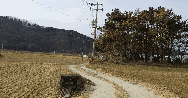 경상북도 경주시 천북면 동산리 710-3 임야 경매 물건 이미지