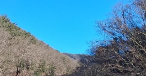 강원특별자치도 춘천시 동산면 원창리 산487 임야 경매 물건 이미지