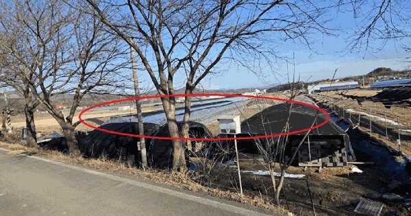 충청남도 금산군 금성면 파초리 166-3 답 경매 물건 이미지